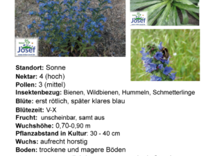 Wildpflanzen-Mix 02  – anspruchlos/trocken <br> 12 Stck. (UG 02)