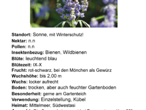 Vitex agnus castus l.  – Mönchspfeffer<br> 1 g, ca. 100 Korn (PG D)