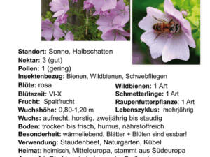 Malva moschata – Moschus-Malve<br>1,0 gr. , ca. 150 Korn (UG 02, PG C)