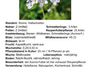 Cardamine pratensis – Wiesenschaumkraut <br> 0,2 gr., ca. 350 Korn (UG 02, PG E)