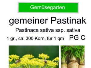 Pastinaca sativa – gewöhnlicher Pastinak <br> 1,0 g, ca. 300 Korn (UG 02, PG C)