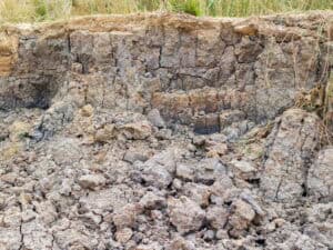 sandiger Lehm, ca. 1 Liter