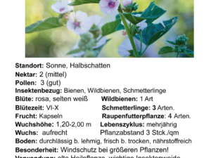 Althaea officinalis – echter Eibisch <br> 1 Stck. Pflanze im 12 cm Topf (UG 02)