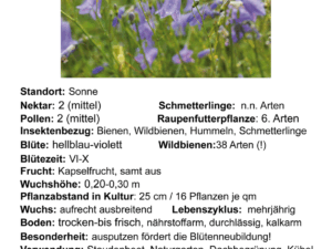 Campanula rotundifolia – rundblättrige Glockenblume <br>0,1 g,  ca. 1.500 Korn (UG 02, PG E)
