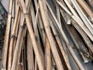 markhaltige Stengel, ca. 30-40 Stck.