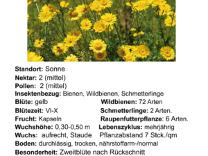 Anthemis tinctoria – Färber-Hundskamille <br> 0,2 g, ca. 400 Korn (UG 03, PG B)