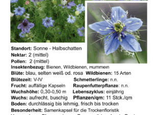 Nigella damascena – Jungfer im Grünen <br> 0,5 g , ca. 200 Korn (PG C)