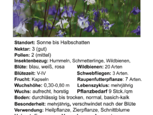 Aquilegia vulgaria-Akelei Mischung<br>1,0 g,  ca. 500 Korn (UG 07, PG C)