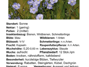 Linum perenne-blauer Staudenlein<br>1,0 g ca. 600 Korn (UG n.n., PG A)