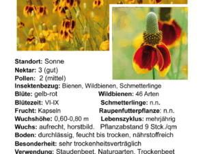 Ratibida columnifera – Prärie-Sonnenhut<br>0,15 g,  ca. 100 Korn (UG 07, PG C)