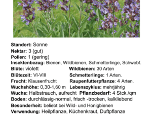 Salvia officinalis – echter Salbei<br>0,5 g ca. 50 Korn (UG 07, PG B)